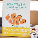 カクレクマノミは大きいほうがお母さん